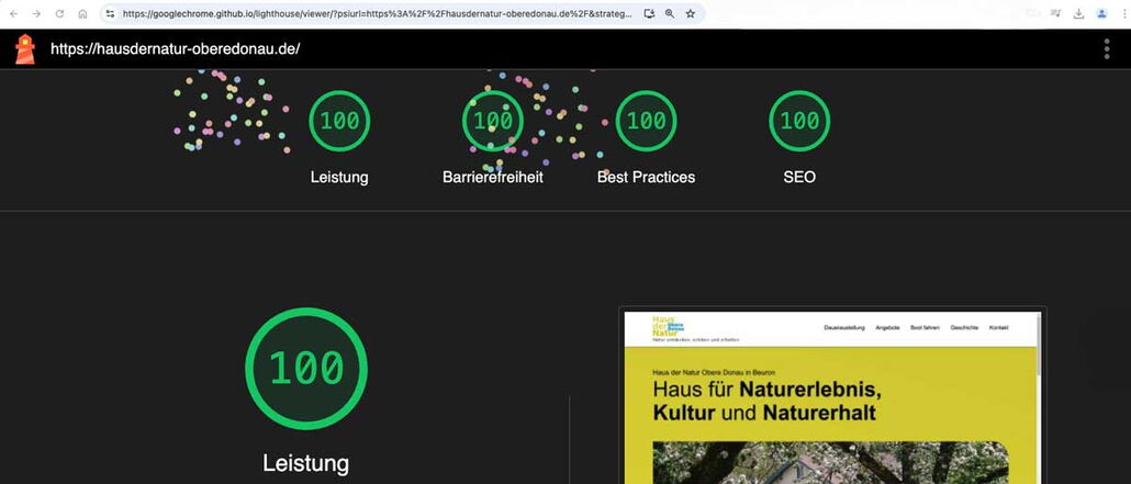 lighthouse Testergebnisse für Website 100%